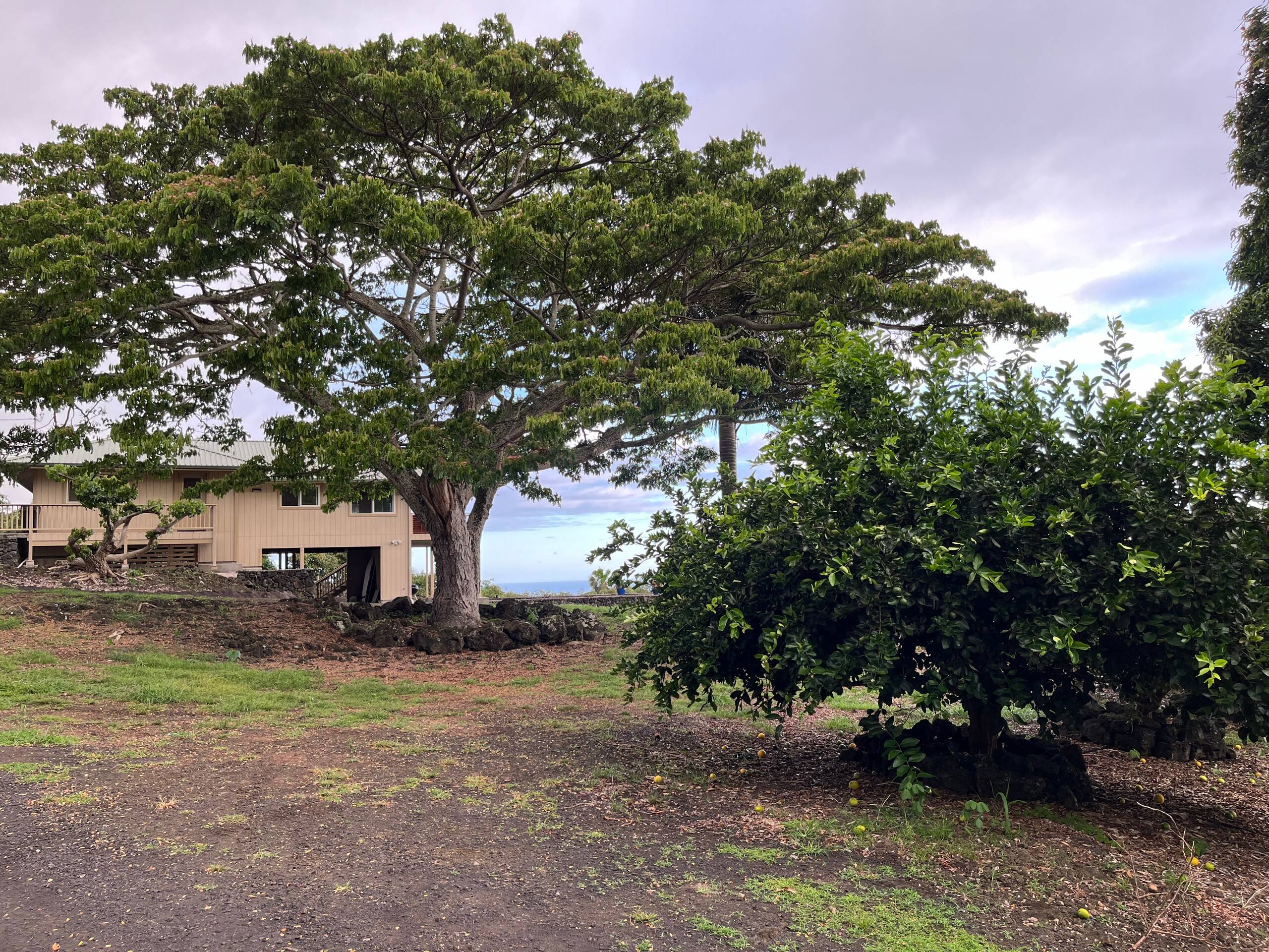 Home in Kailua-Kona · ★4.96 · 3 bedrooms · 3 beds · 2 baths - Image 14
