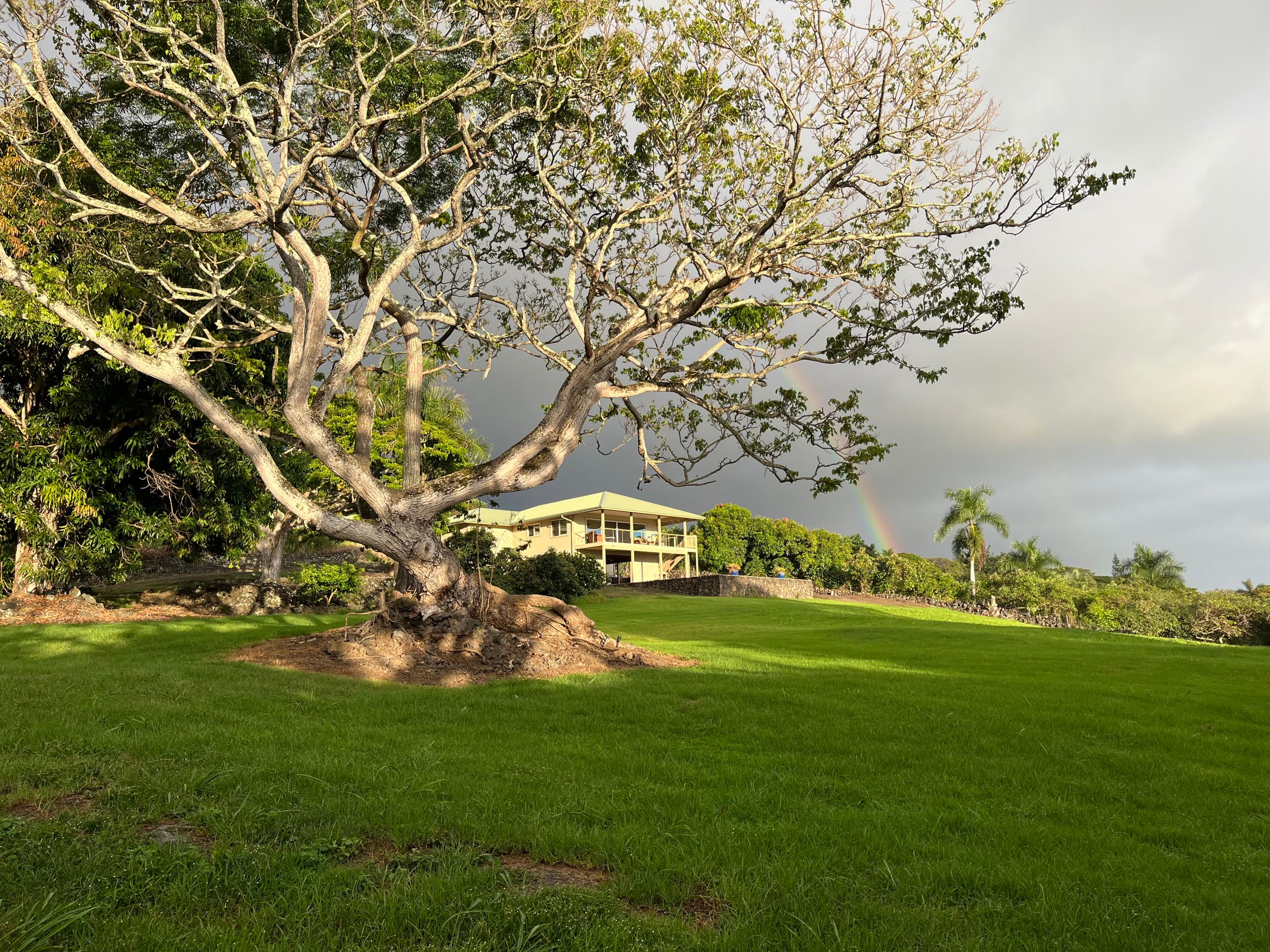Home in Kailua-Kona · ★4.96 · 3 bedrooms · 3 beds · 2 baths - Image 5