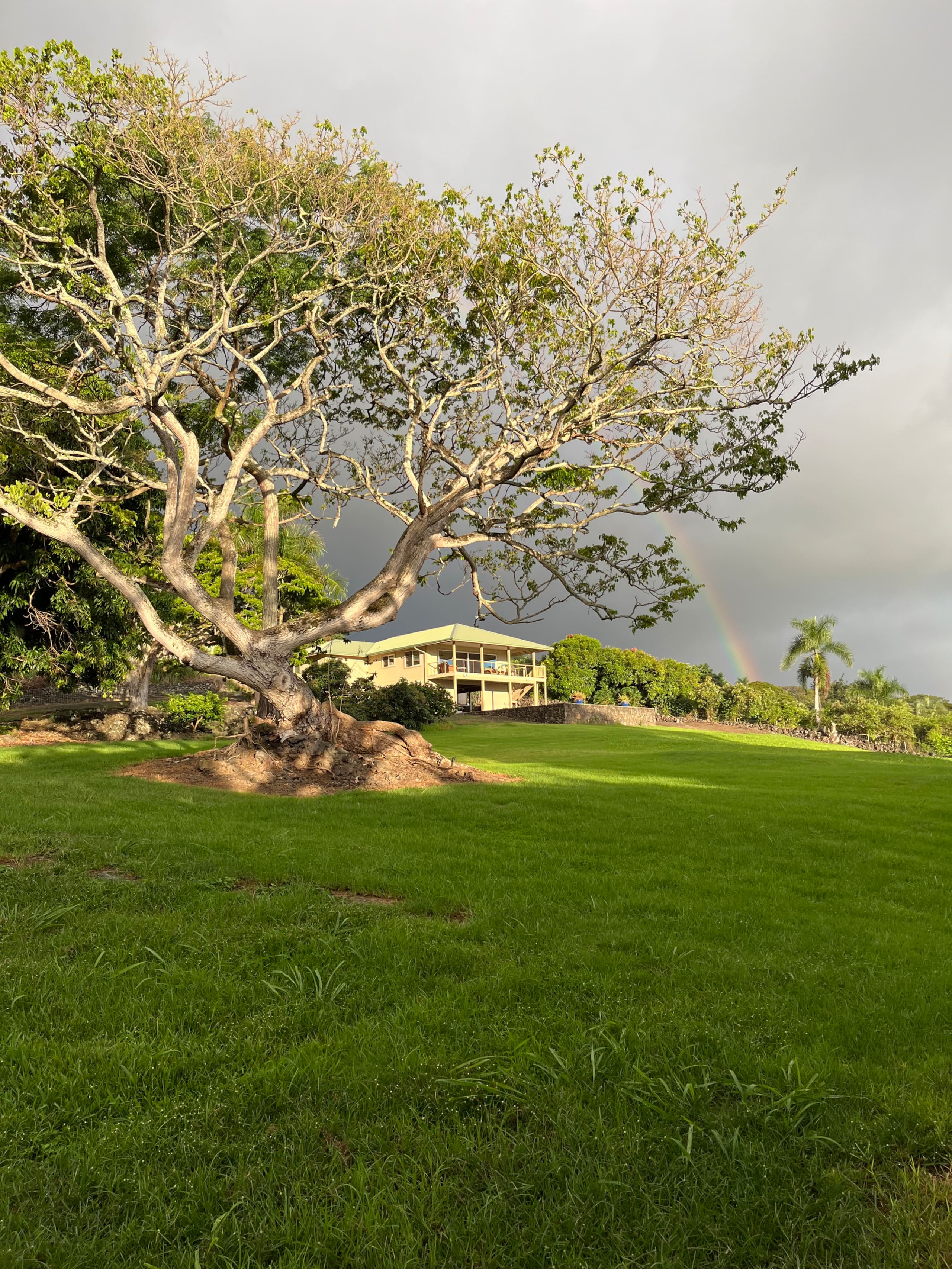 Home in Kailua-Kona · ★4.96 · 3 bedrooms · 3 beds · 2 baths - Image 11