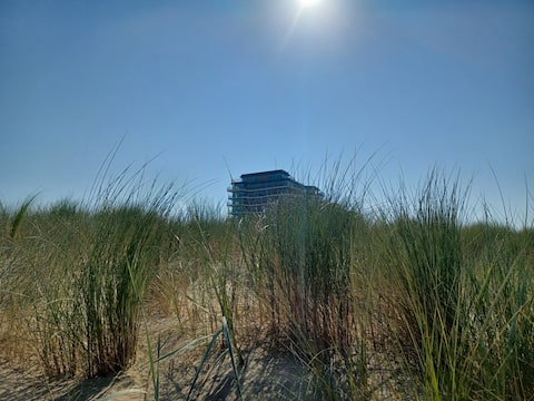 Splendid apartment by the sea