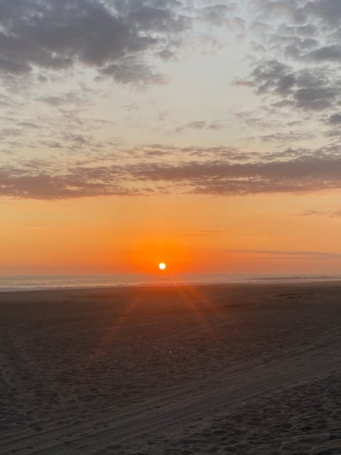 Enjoy a space with the sound of the sea nearby