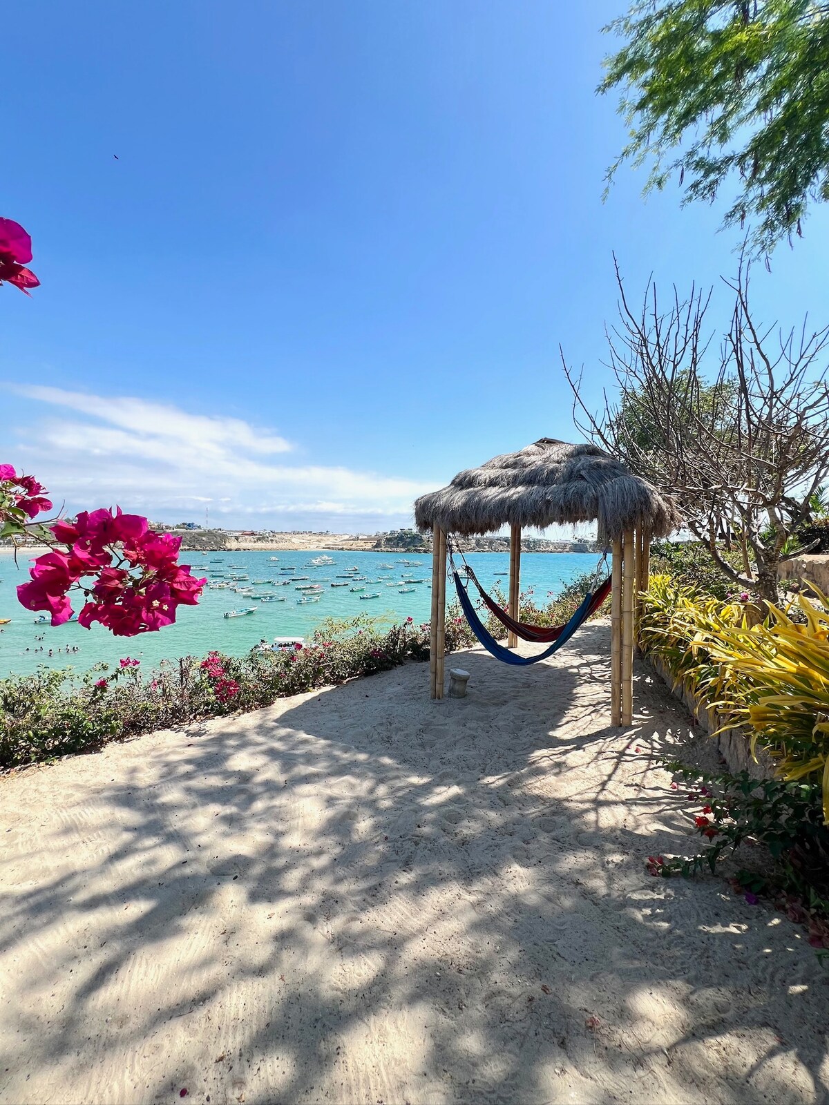 A shaded hammock is suspended beneath a thatched gazebo, offering a relaxing spot with a view of the water. Surrounding colorful bougainvillea flowers and lush greenery enhance the natural setting, while the clear blue sky reflects off the tranquil bay in the background.