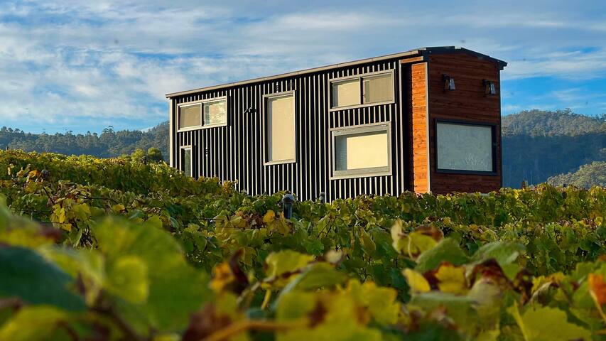 Chardonnay, A Tiny home for up to 4 in a vineyard. gallery image 2