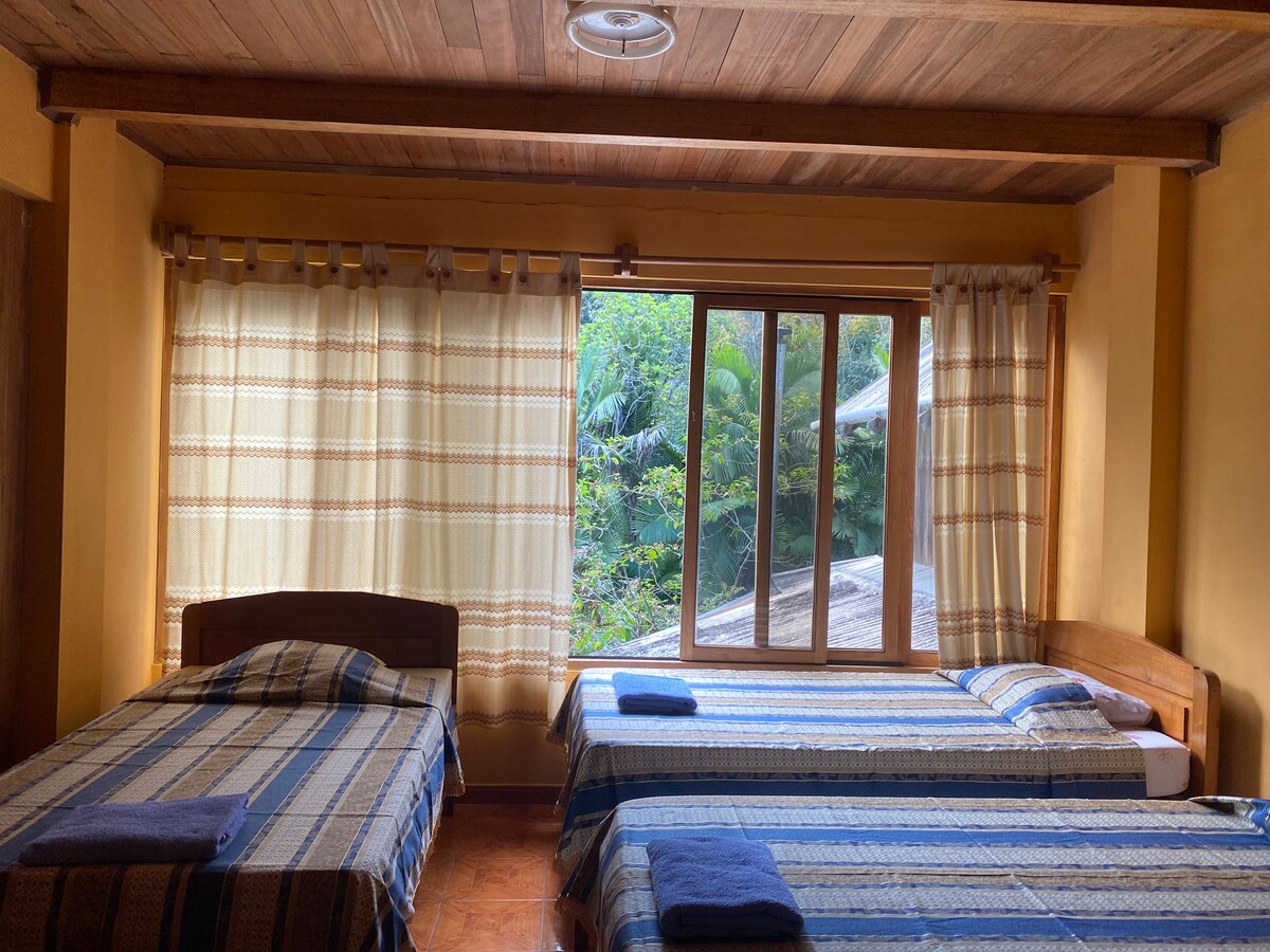 A tranquil sleeping area features three beds dressed in patterned linens. Large windows allow natural light to fill the space, with views of lush greenery visible outside. Soft curtains frame the windows, adding a gentle touch to the room's ambiance.