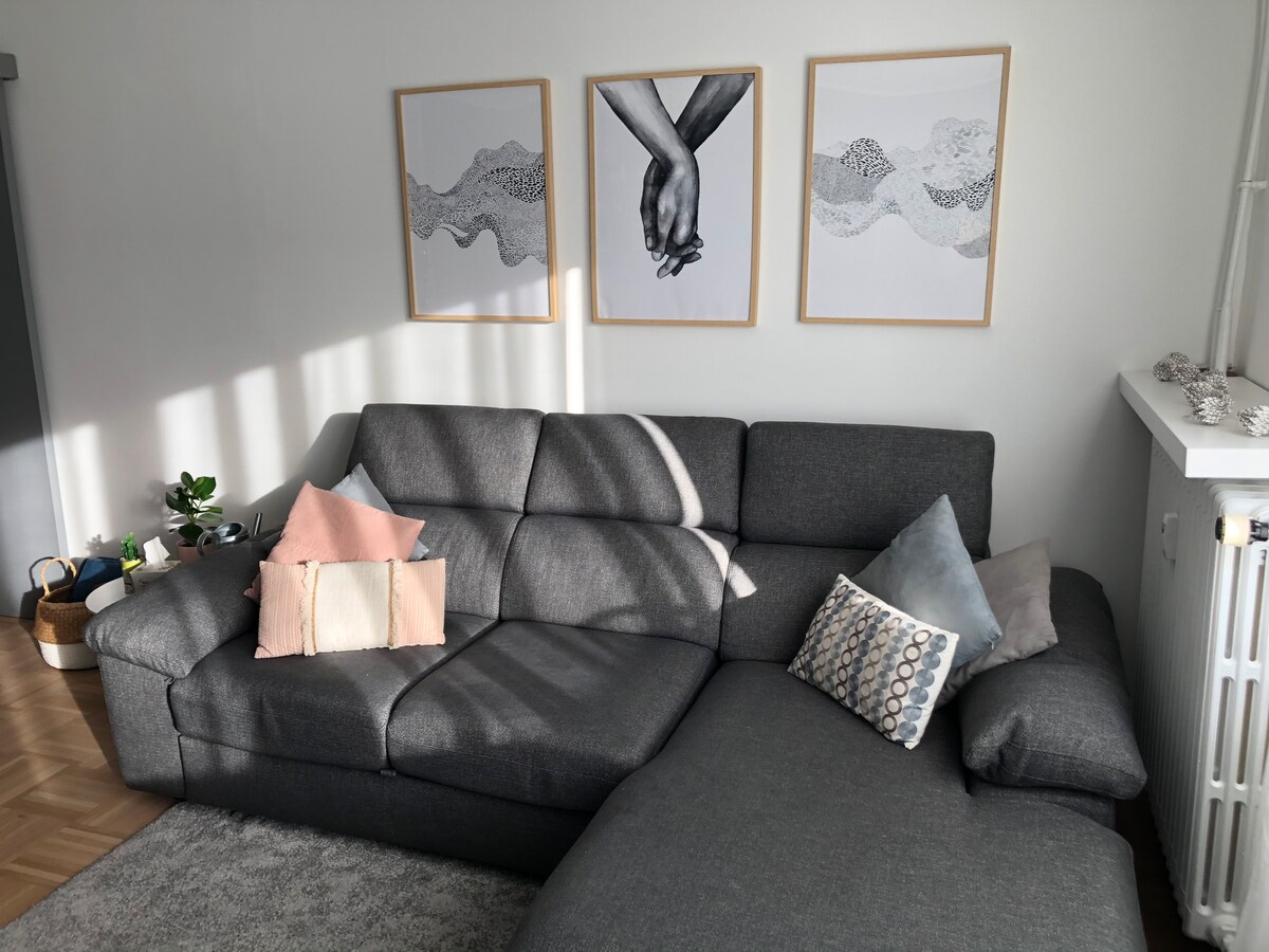Propriété Airbnb réussie: Spacious, bright apartment / secure enclosed garage à Strasbourg