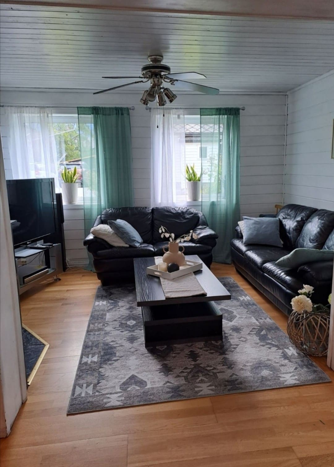 The living area features two comfortable leather sofas positioned around a central coffee table. A television is situated opposite the seating area. Natural light filters through sheer curtains, enhancing the space, while potted plants add a touch of greenery to the room.