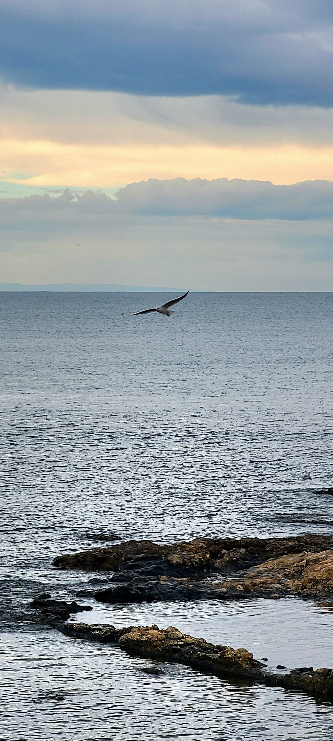 A calm seascape is captured with gentle waves lapping against rocky shorelines. A bird is seen gliding above the water, while clouds create a soft gradient in the sky, adding a sense of serenity to the coastal view.