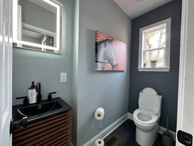 Luxurious Capitol Hill Home — Gorgeous 2B/2.5BR gallery image 3