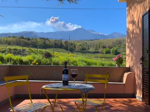 Airbnb con migliori performance: Tenuta Kiwi on Etna a Giarre