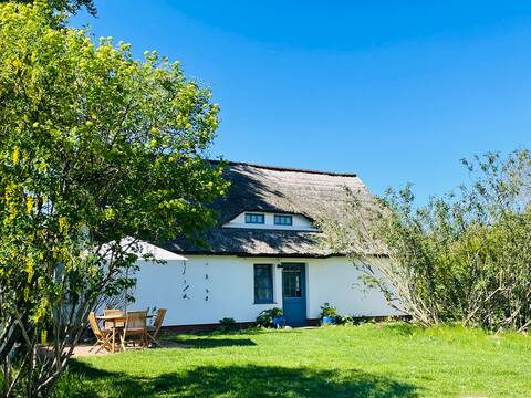 W1_Idyllic thatched roof with natural pool