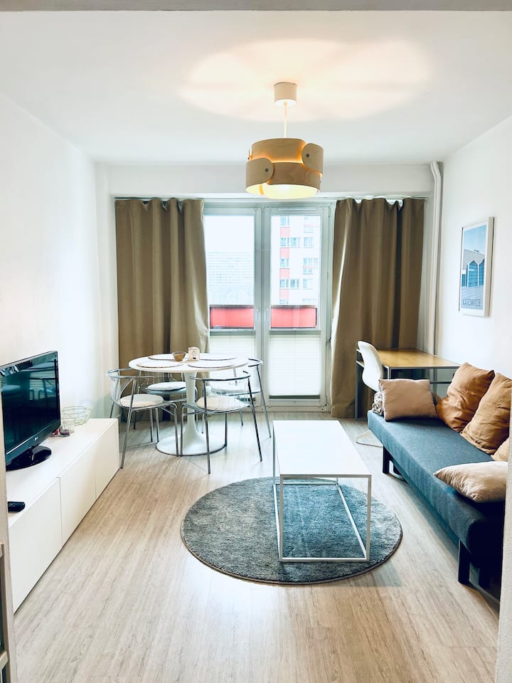 Central Katowice Apartment | Workspace & Parking|
