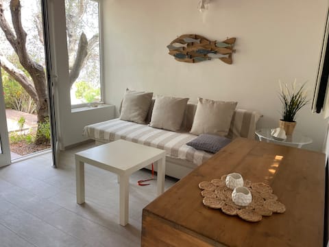 Successful Airbnb property: The Shell House in Monte Argentario