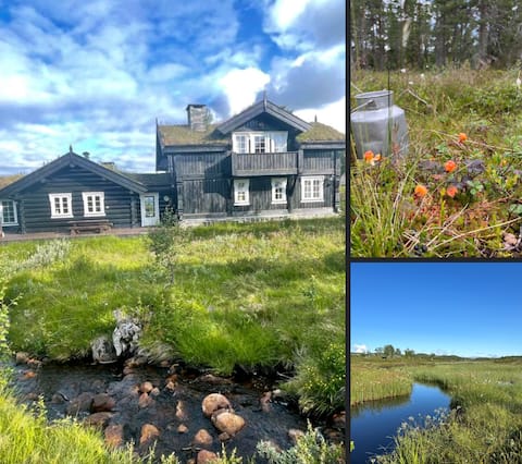 Tranquility and activity in great cabin, 980m.o.h.