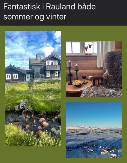 Tranquility and activity in great cabin, 980m.o.h.