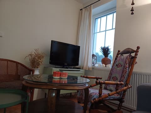 Successful Airbnb property: Modrý domeček 2 - 4 people in Rokytnice Nad Jizerou