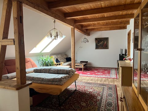 Successful Airbnb property: Sunny apartment in 98529 Suhl on the cycling route in Suhl