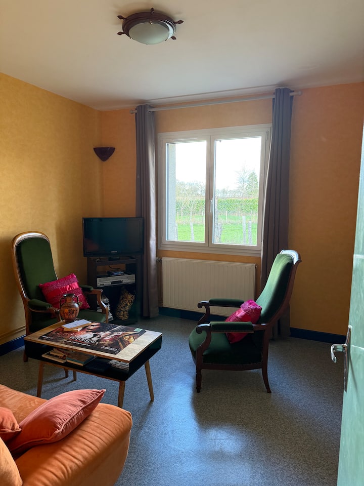 Appartement Meublé Indépendant à Cholet - Cholet