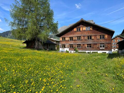 Ground floor with terrace, Au in the Bregenzerwald 90 m²