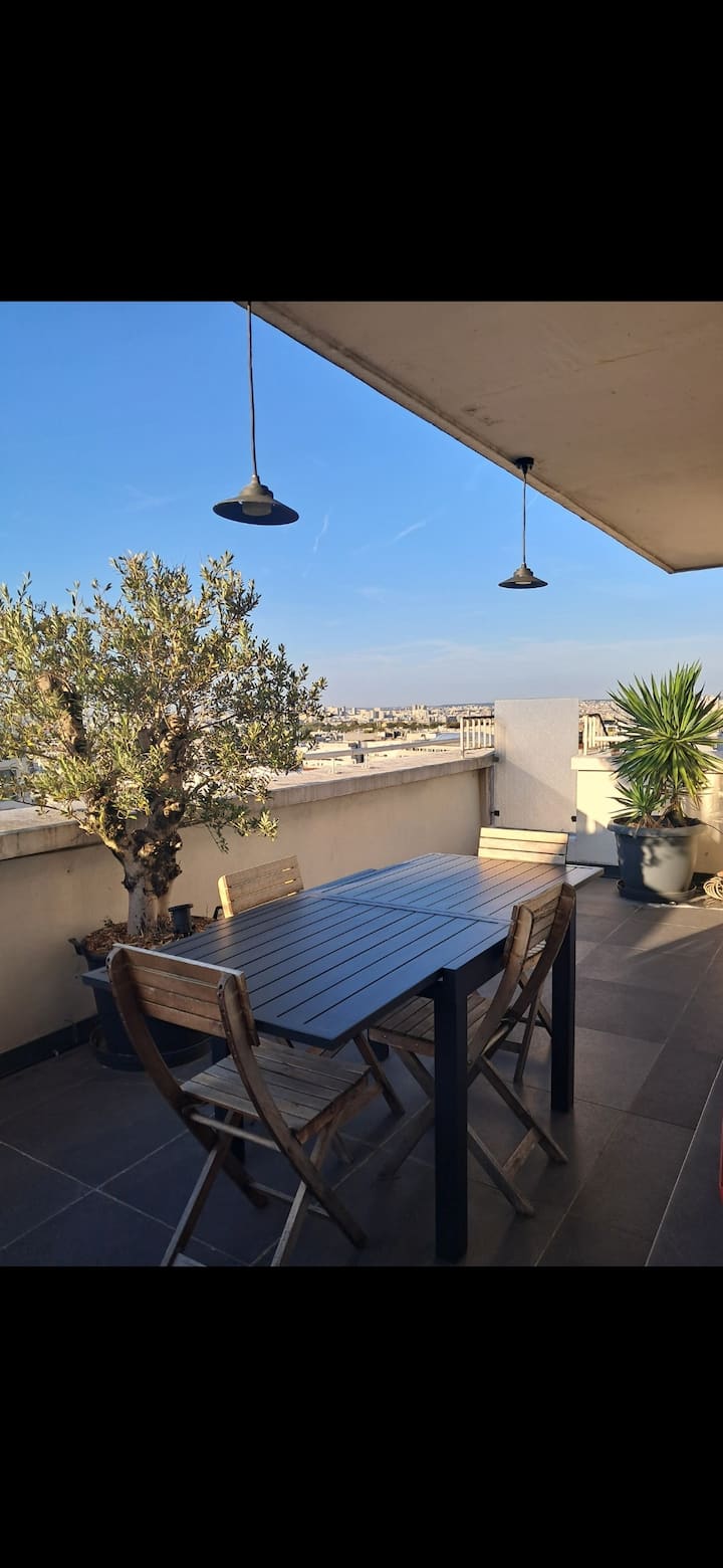 Duplex Rooftop Terrasses - Paris
