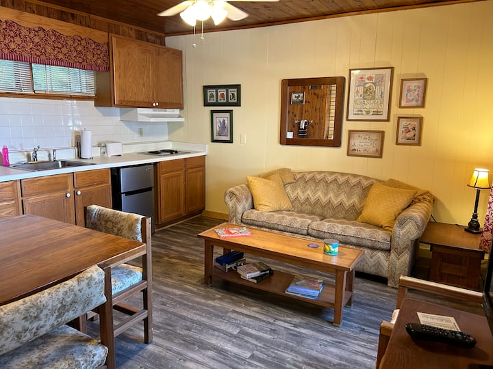 Camp Suite #10 ~ Free Lake Access & Paddle Gear - Hendersonville, NC