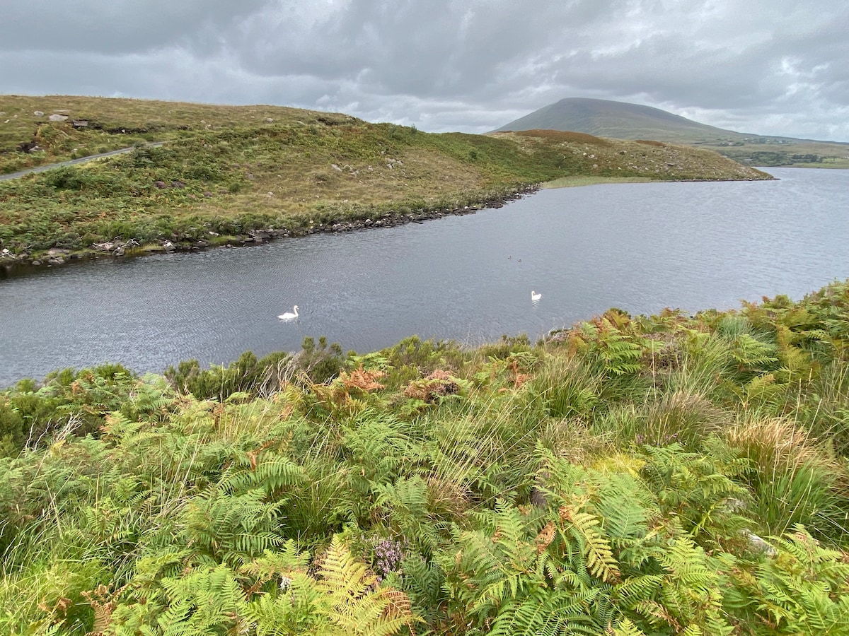 A serene landscape is depicted, featuring a calm body of water bordered by lush greenery. Two swans glide gracefully across the surface, with rolling hills and a distant mountain forming the backdrop under a cloudy sky.