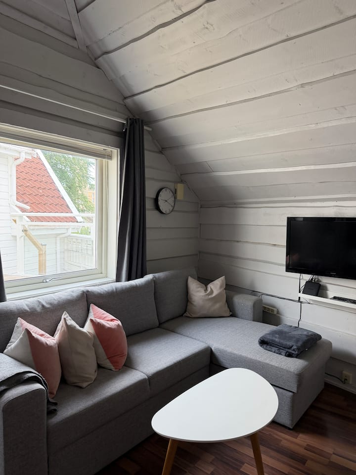 Studio-apartment Near City Center - 斯塔萬格