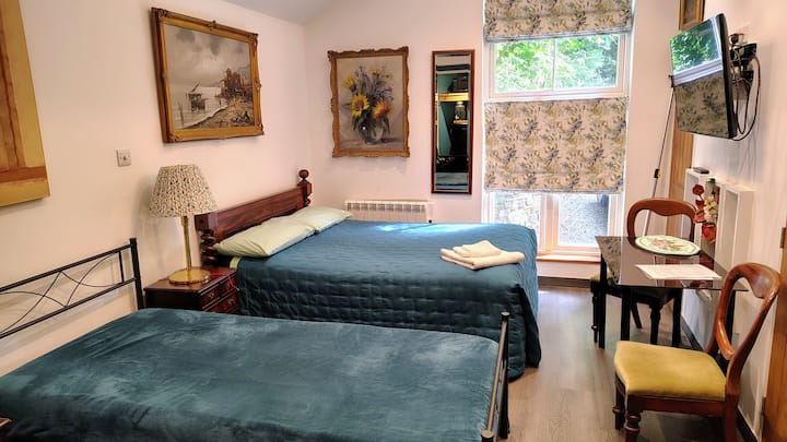 Lovely Cottage In Small Forest Room 1 - Bideford