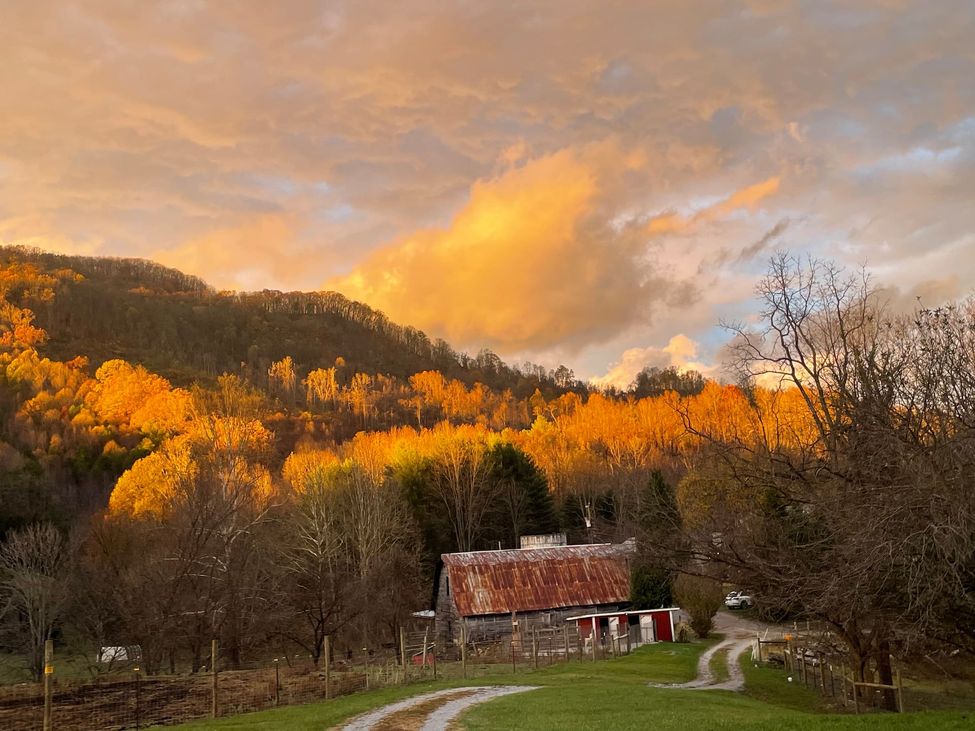 Farm house with animals 10 minutes from Big Stone