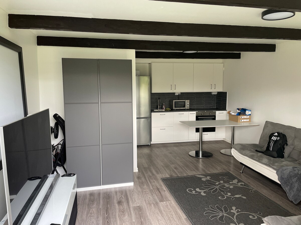 An open living space features a sleek kitchen with modern appliances and minimalist cabinetry. A futon sofa is positioned near a round dining table, complemented by a decorative area rug. Exposed ceiling beams add character to the room.