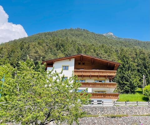 Ski, crosscountry-ski and hike apartment with view