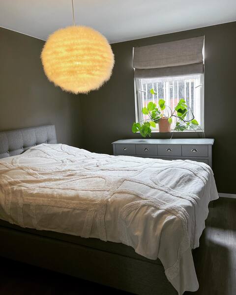 4-bedroom newly renovated apartment