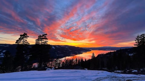 Leilighet over Tyrifjorden