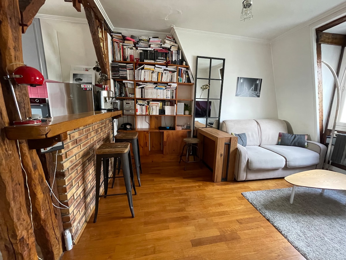 Successful Airbnb property: Studio in Paris's 10th arrondissement in Paris 10e Arrondissement