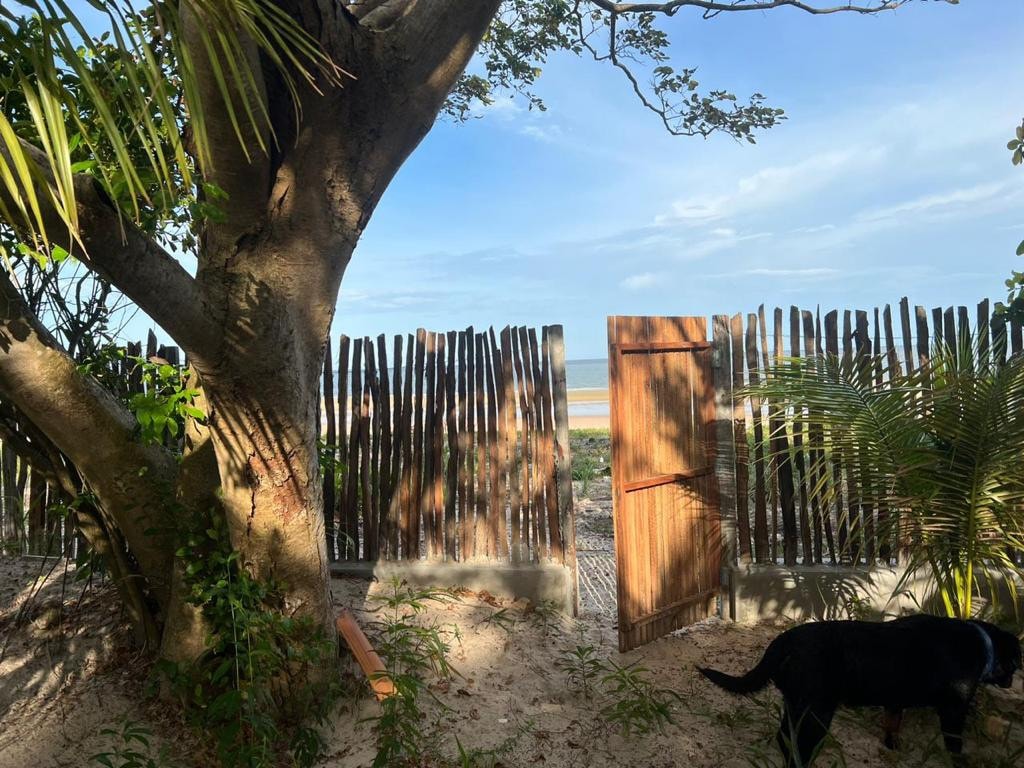 A rustic wooden gate opens to reveal a serene view of the beach, framed by a natural fence made of wooden planks. Lush greenery is visible, along with a large tree that provides shade. A black dog walks along the sandy ground.