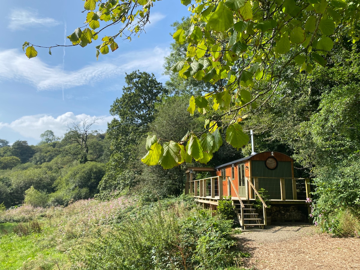A shepherd's hut appears nestled beside a meadow and woodland landscape. The hut's deep orange exterior is contrasted by green accents, complemented by surrounding trees and wild foliage. Steps lead to a welcoming entrance, while sunlight filters through the leaves, highlighting the serene natural setting.