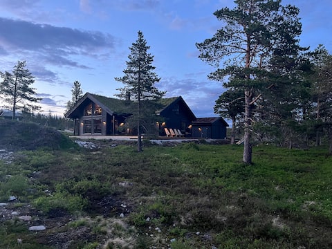 Family cottage on Vegglifjell