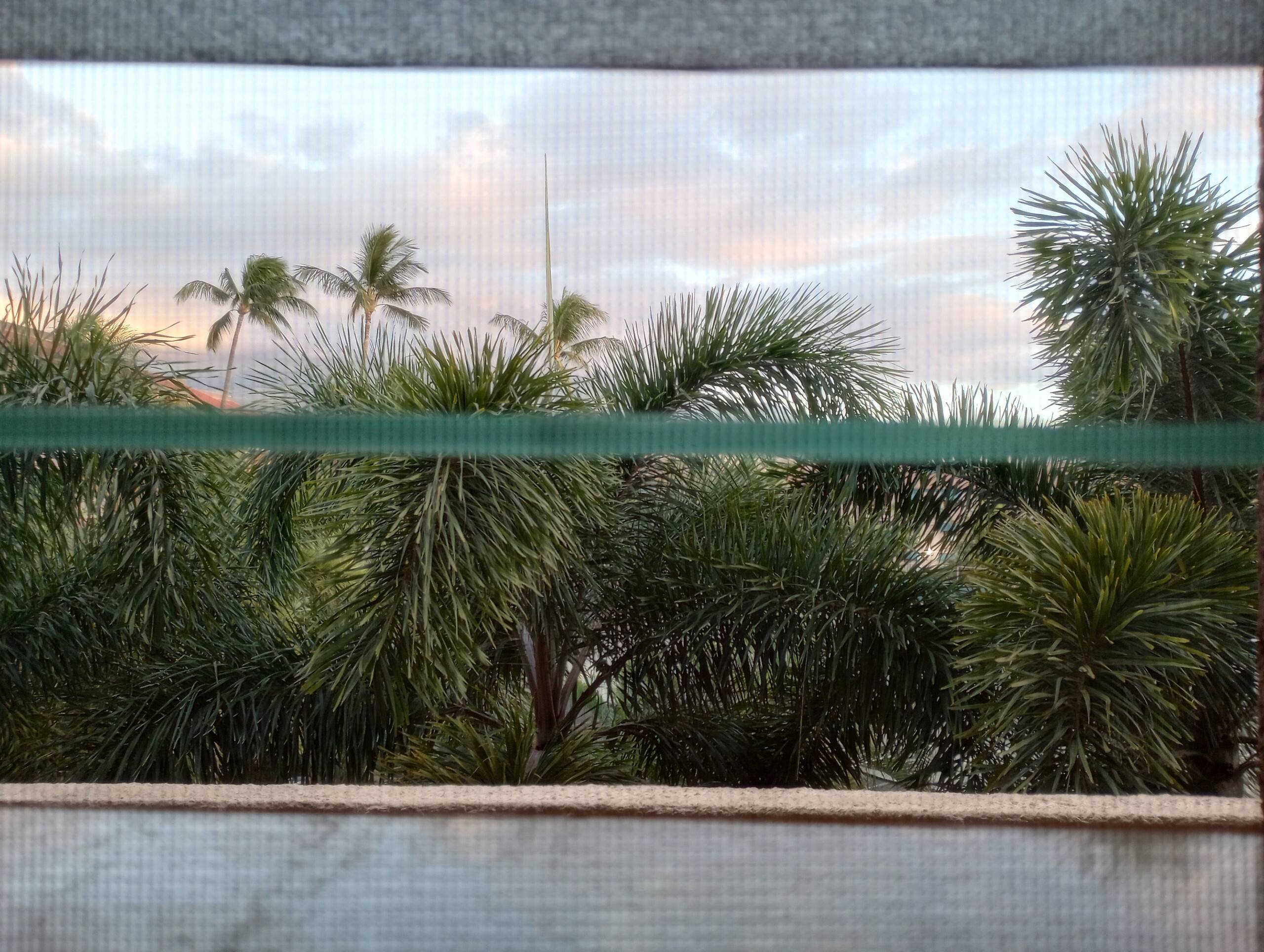 Condo in Kihei · ★4.98 · 1 bedroom · 2 beds · 1 bath - Image 31