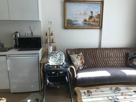 Successful Airbnb property: The best luxury housing site içi residence/ Ataköy in Bakırköy