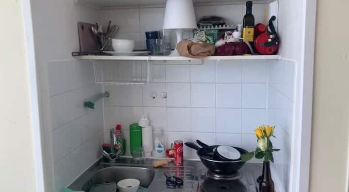 Studio With Bath Near Utrecht - Zeist
