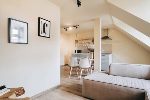XL apartment: historical flair & mountain views