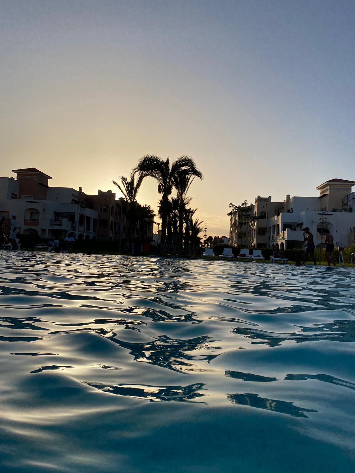 The image captures a serene pool scene at sunset, with gentle ripples reflecting the light. Palm trees are visible in the background, framed by residential buildings. The tranquil water invites relaxation in this peaceful setting.
