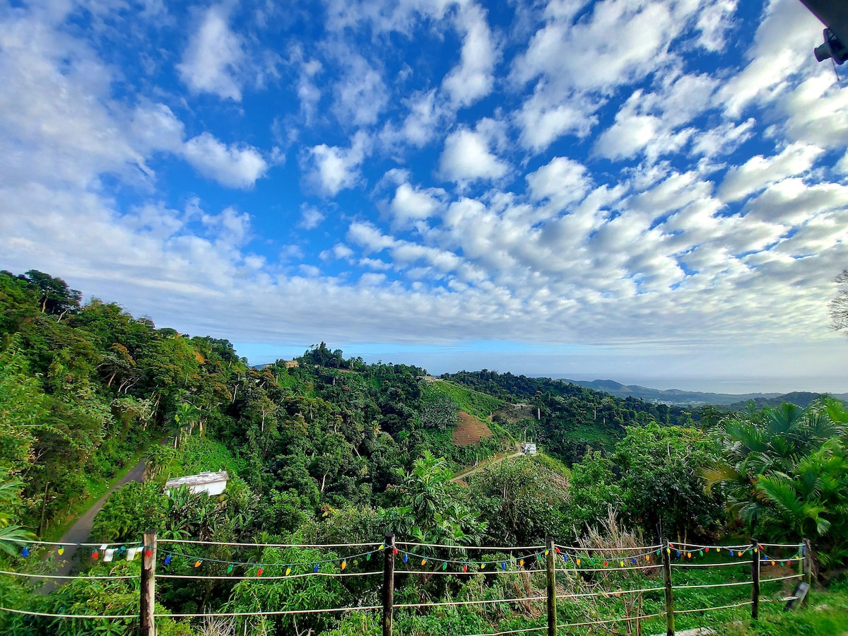 A panoramic view captures lush greenery and rolling hills under a partly cloudy sky. The vibrant landscape is framed by a wooden railing adorned with decorative lights, suggesting a peaceful outdoor space to enjoy the surrounding nature.