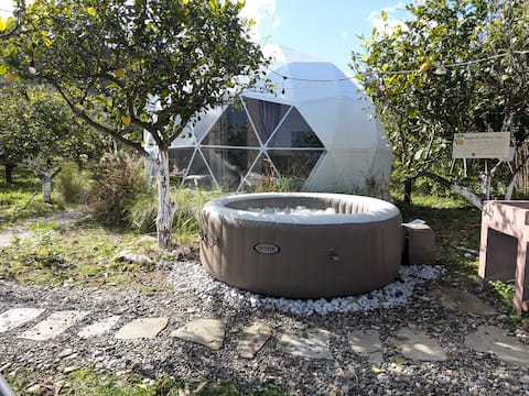 Lemon Tree Dome House
