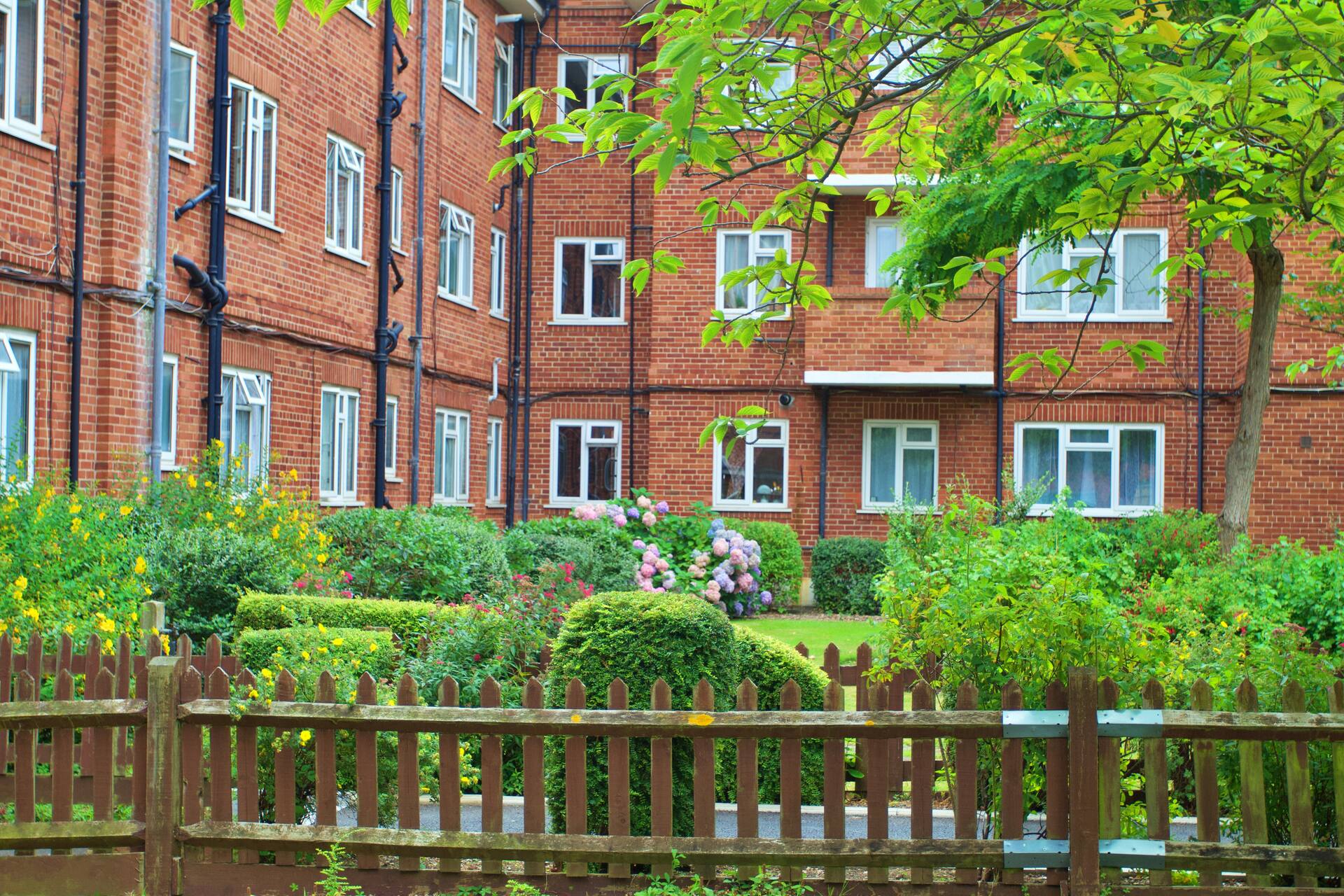 Wonderful Apartment in Wembley