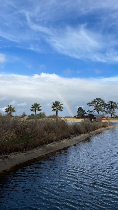 Annonce Airbnb populaire: Cozy mobile home in Cap Ferret – terrace & nature à Lège Cap Ferret