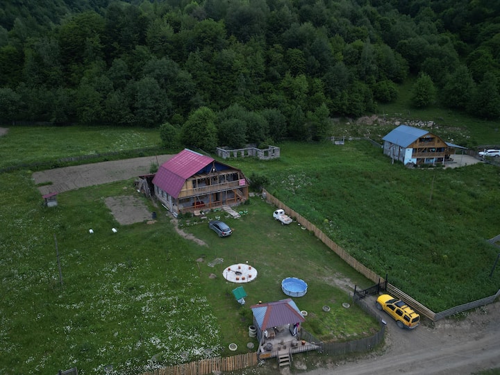 Kvis Saxli - Georgia