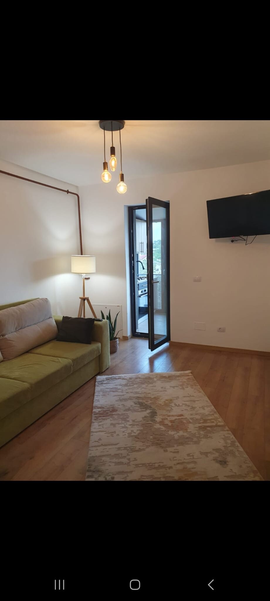 A comfortable seating area features a green sofa near a standing lamp. A door opens to a balcony, allowing natural light to fill the space. A television is mounted on the wall, while a small plant adds a touch of greenery. A patterned area rug enhances the floor.