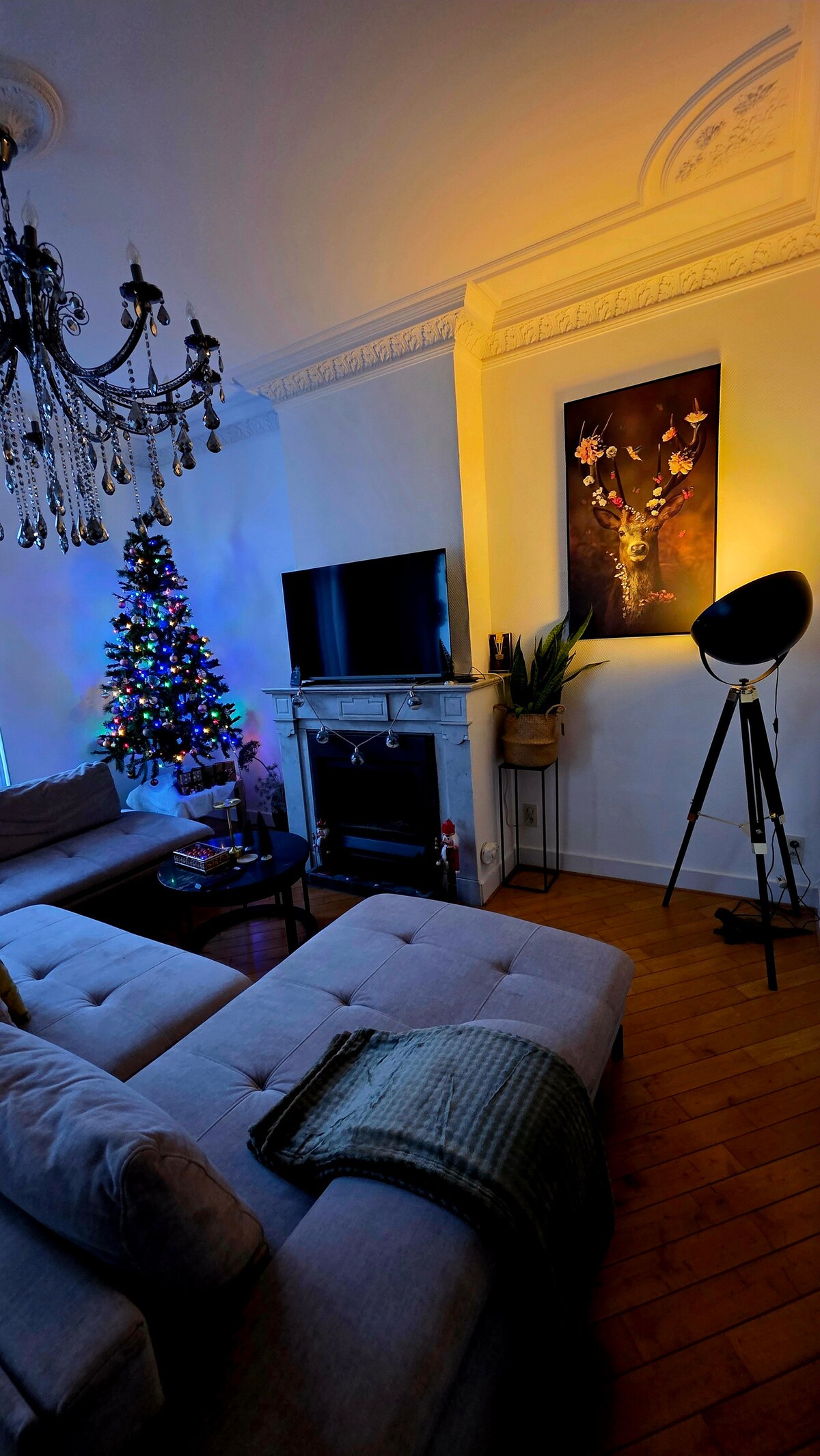 Successful Airbnb property: European apartment in Schaerbeek Schaarbeek