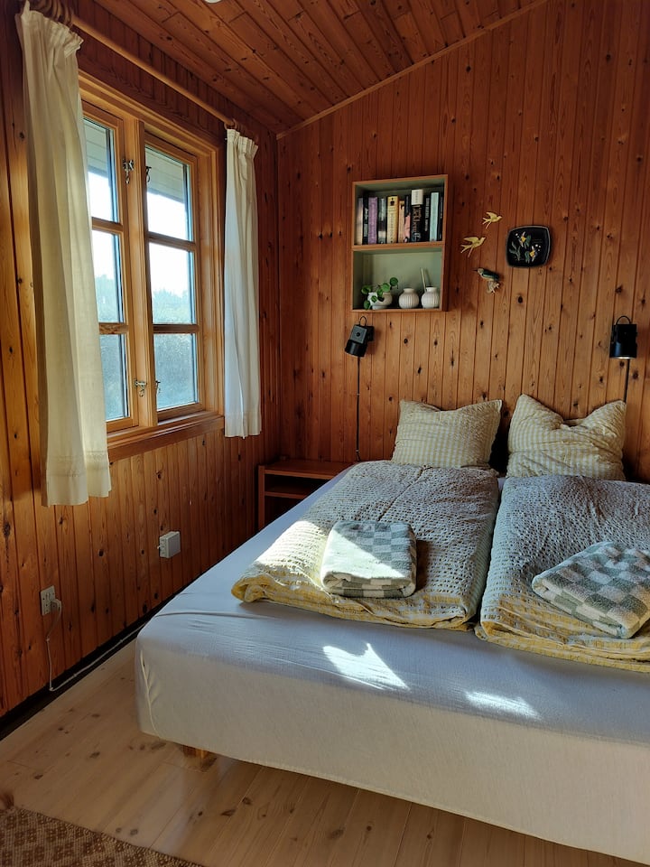 Habitación 1