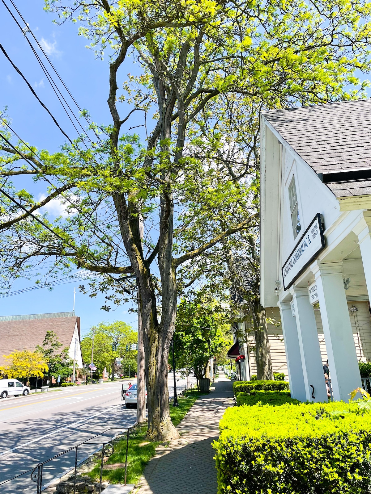 A tree with lush green leaves stands adjacent to a sidewalk, providing shade. The street is visible in the background, with a mixture of vehicles and greenery lining the area. The architecture of nearby buildings reflects the charm of the village.